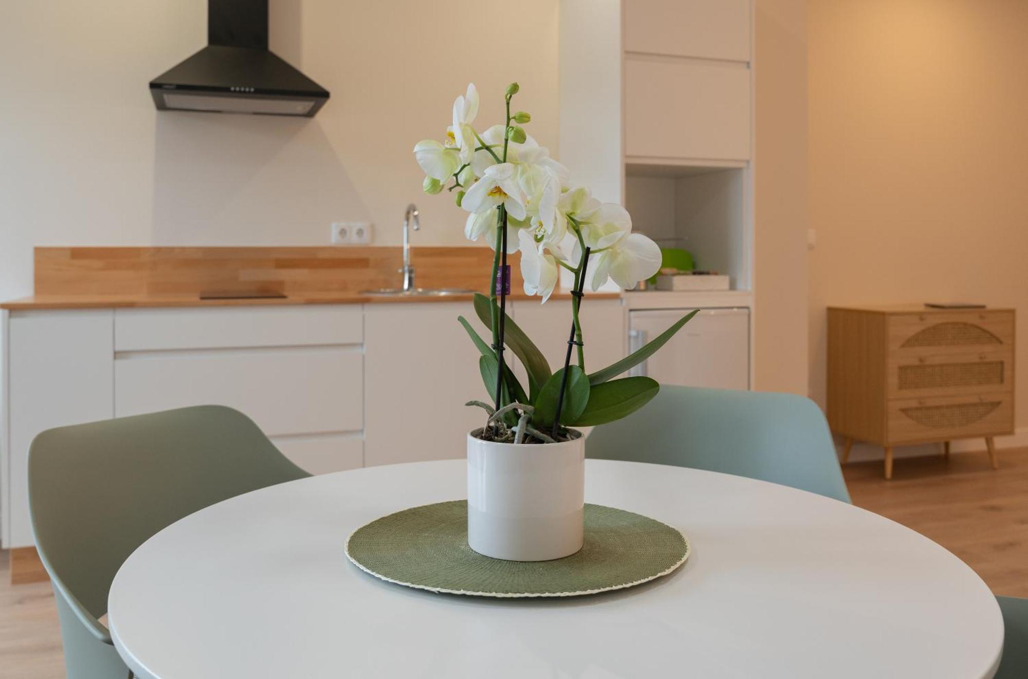 At Negreira No Camino Apartment Стая снимка